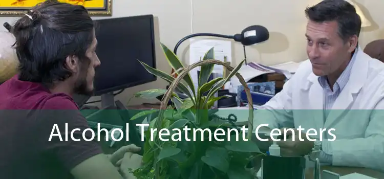 Alcohol Treatment Centers 