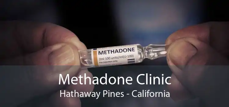 Methadone Clinic Hathaway Pines - California